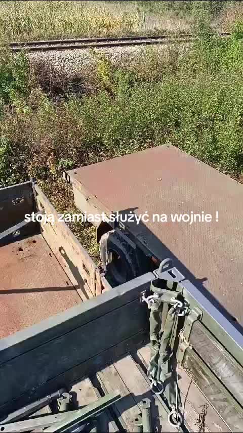 @po prostu krzepki