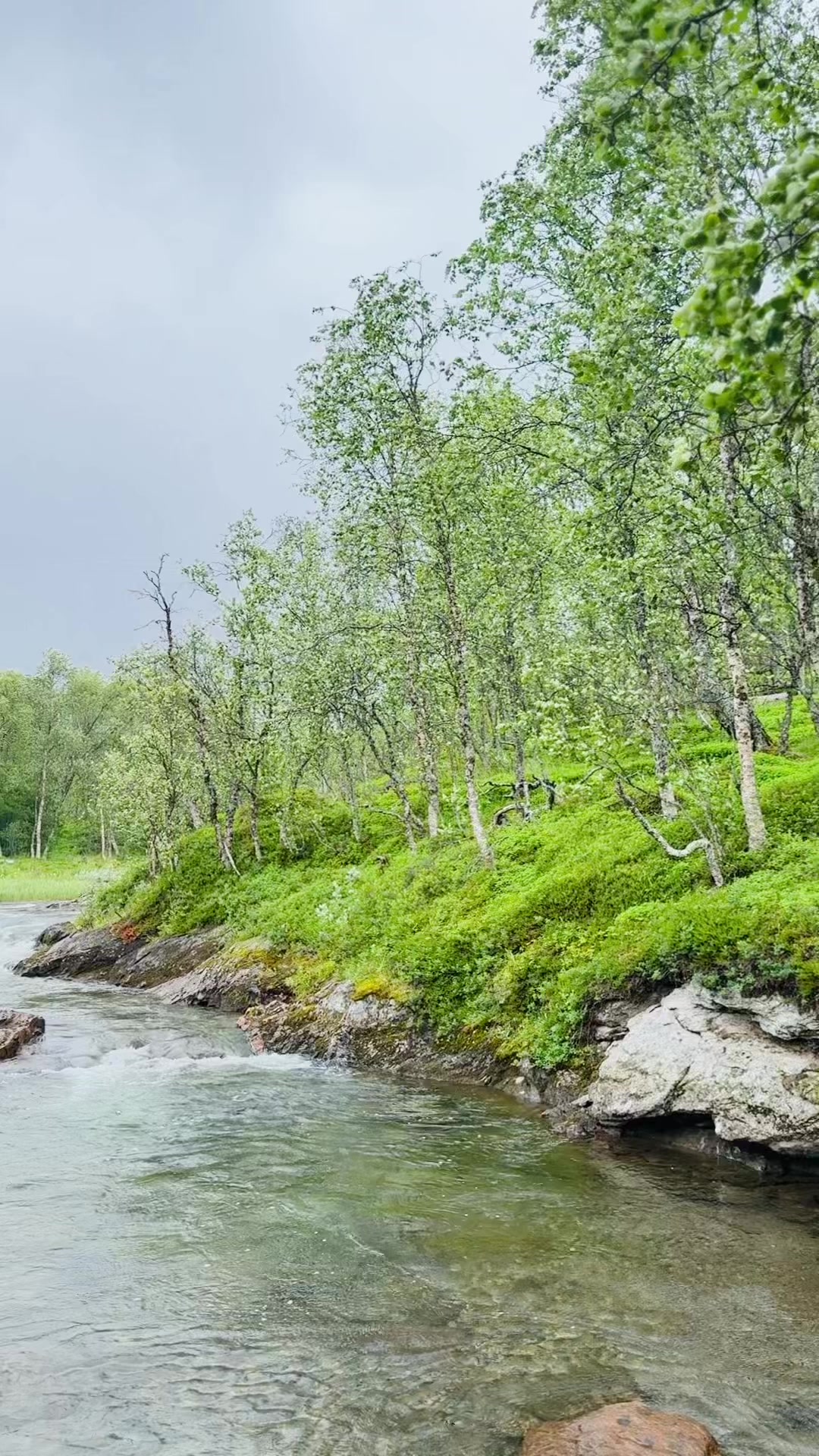 @in Finland 🇫🇮