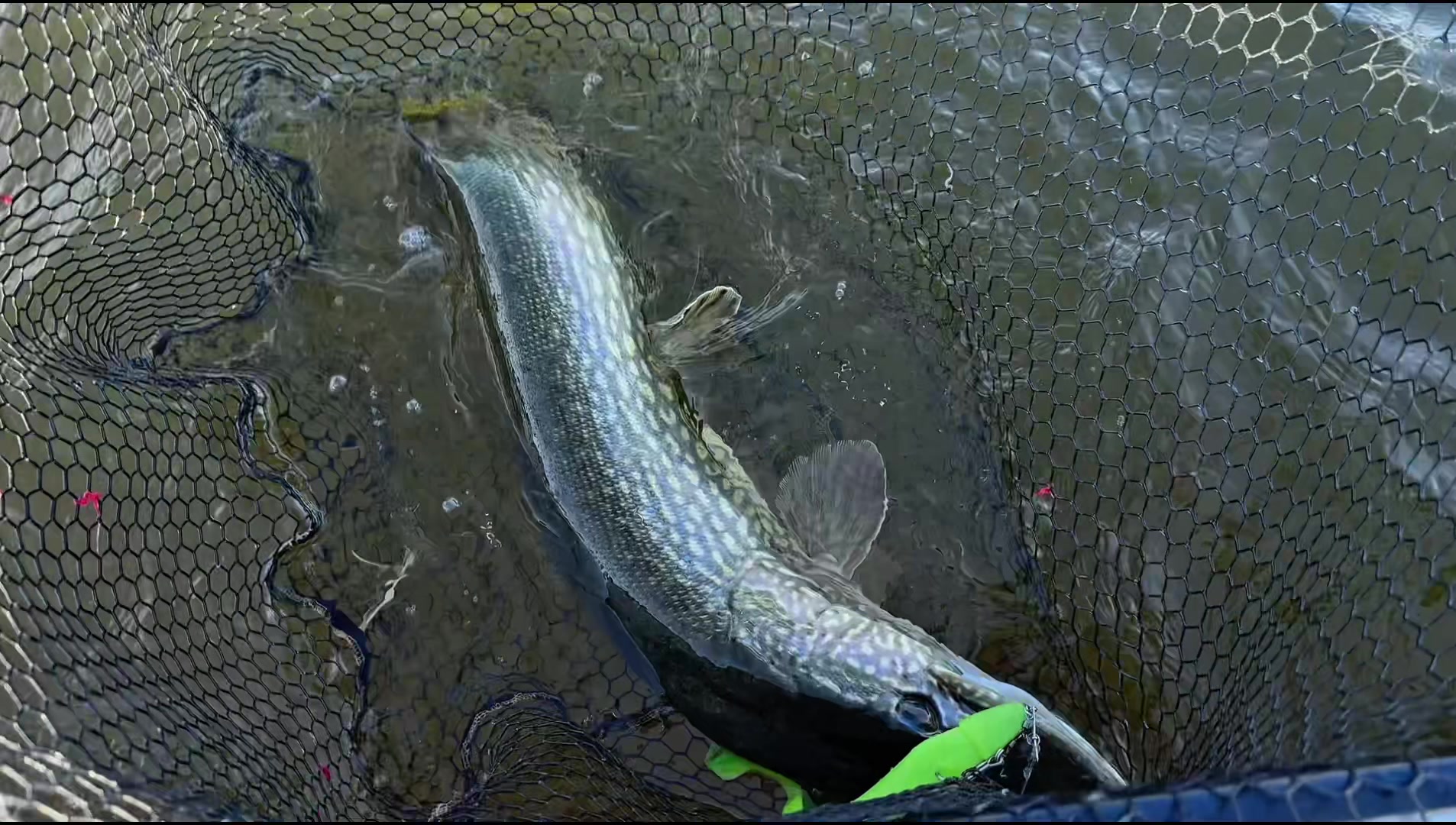 @Tackle Crew