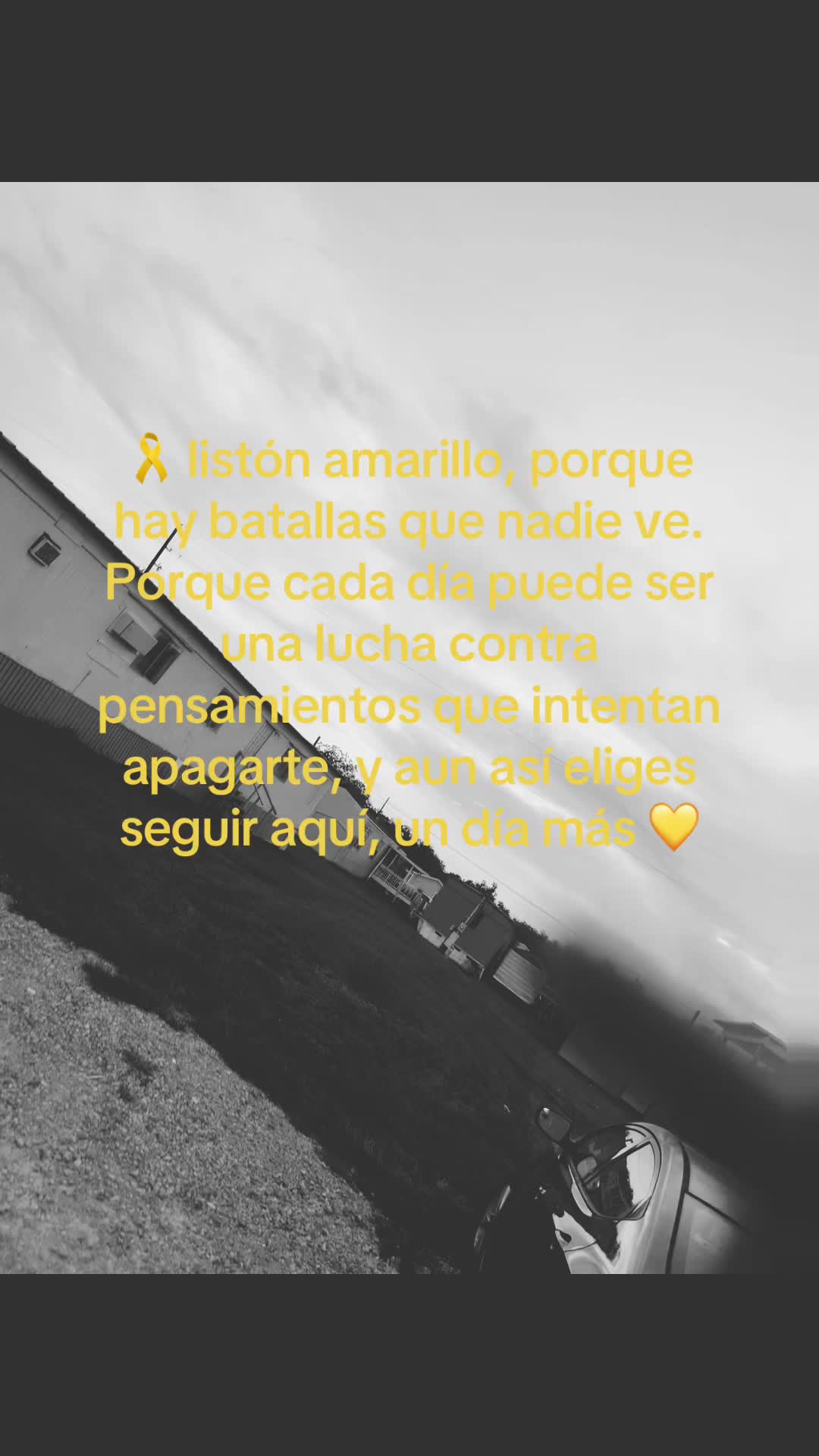 @🦒️Fläqüïtä🖤