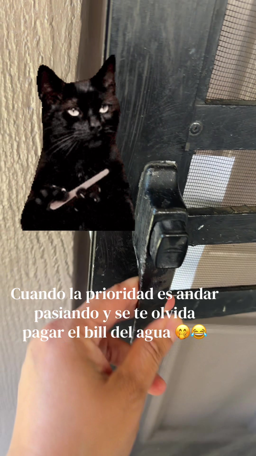 @saranicoleh