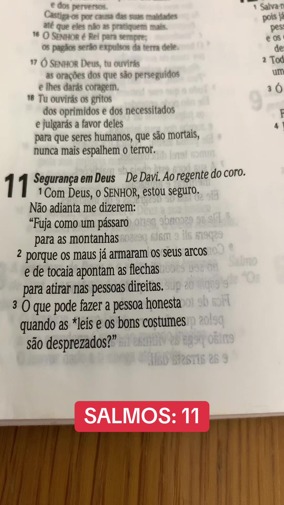 @Iva Souza 🇧🇷