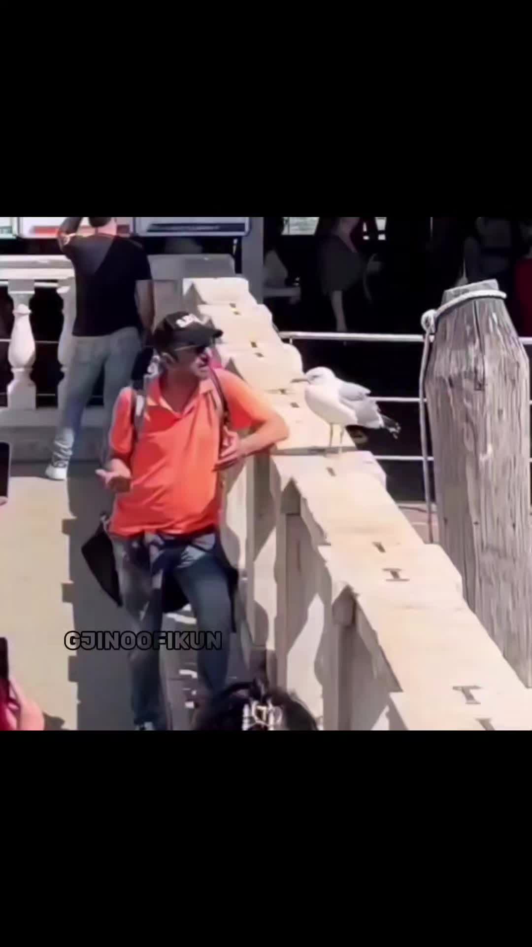 @GJINOOFIKUN🇦🇱✅️