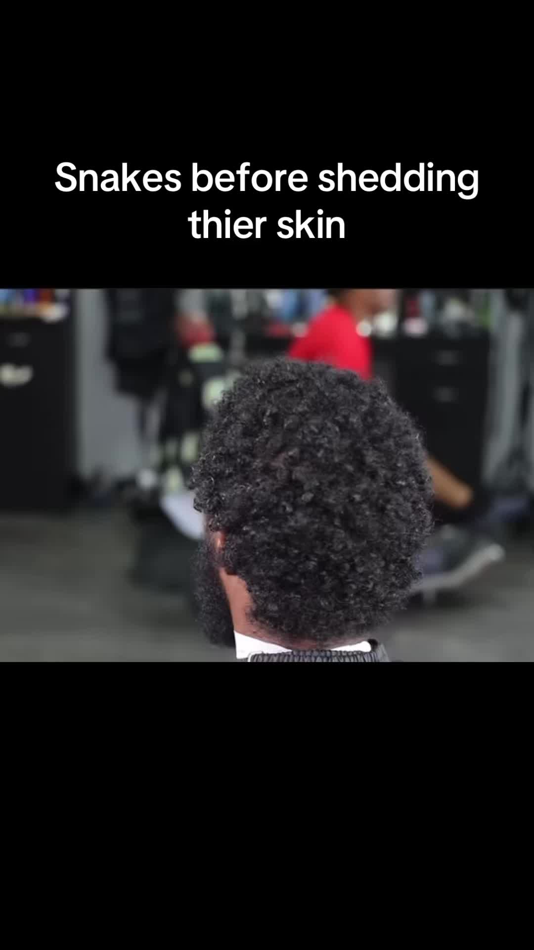 @M3LCHIAVELLI