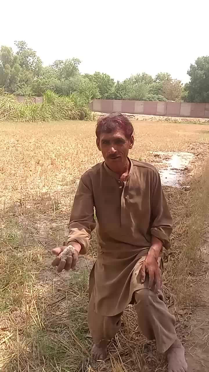 @chjaved16 Rehman king