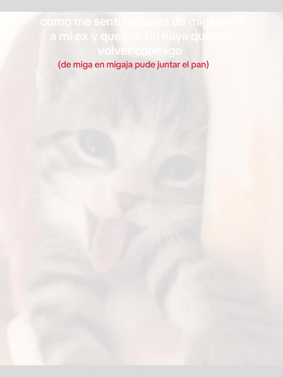 @secretaaaas