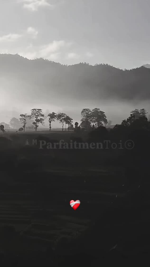 @ᶤᴹ𝐏𝐚𝐫𝐟𝐚𝐢𝐭𝐦𝐞𝐧𝚃𝚘𝚒ⓒ