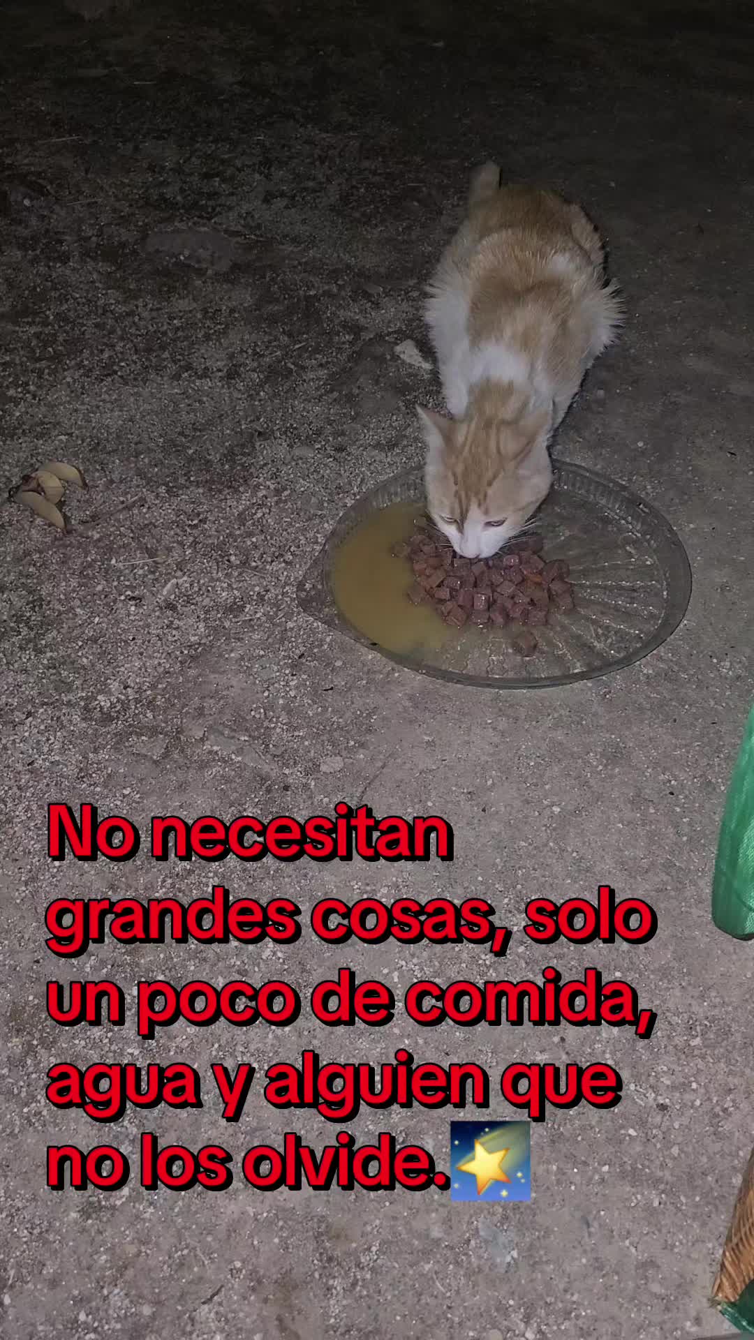 @garritasespaciales