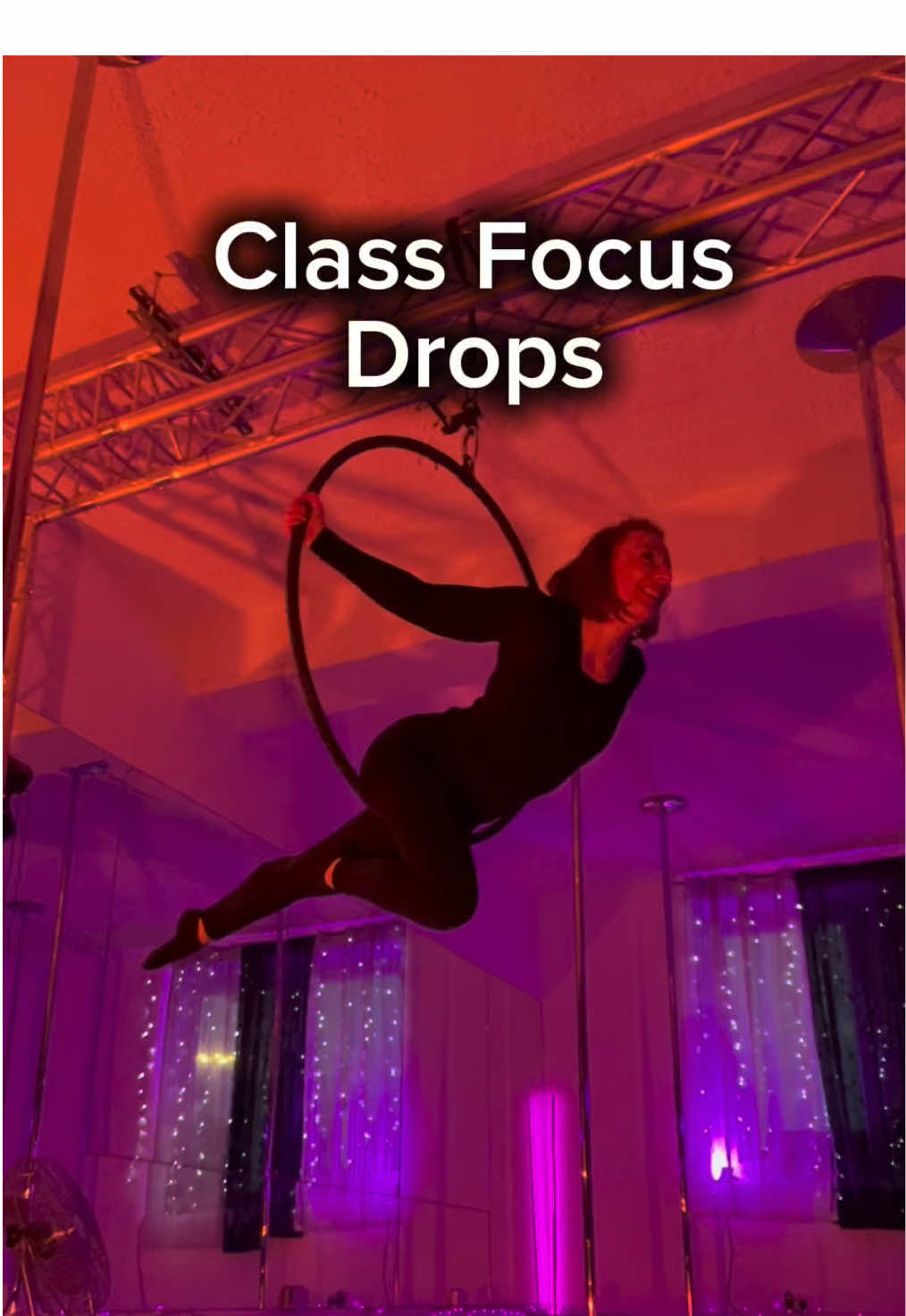 @MichelleT AerialHoop