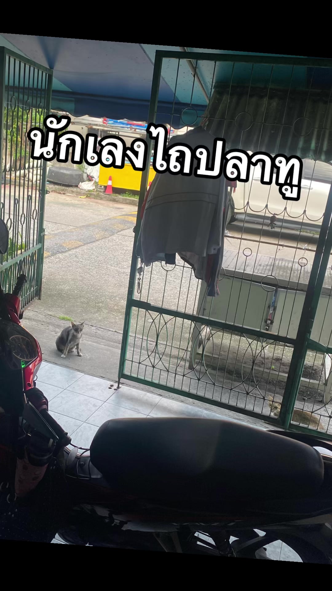@Puii