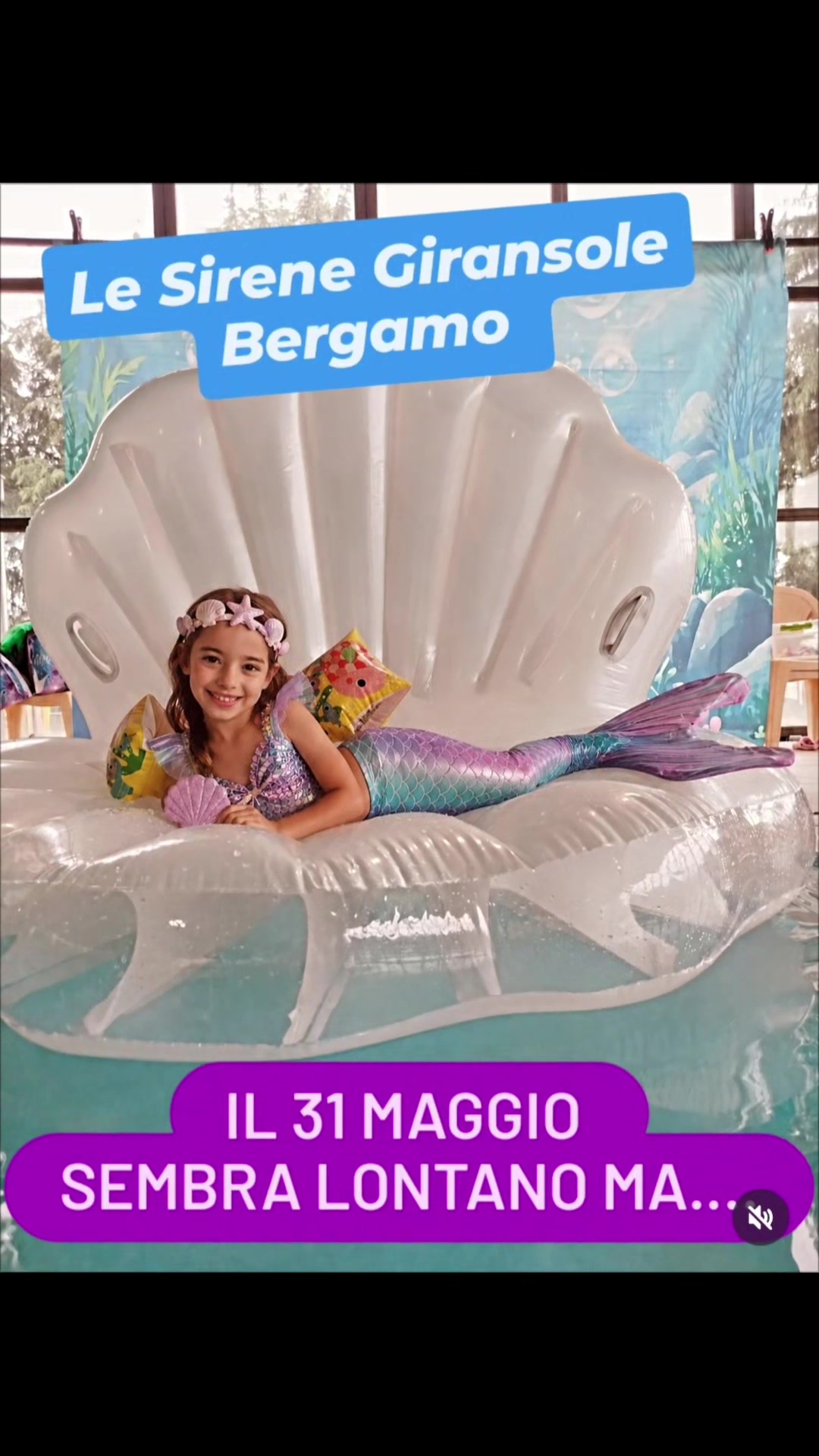 @Le sirene giransole Bergamo