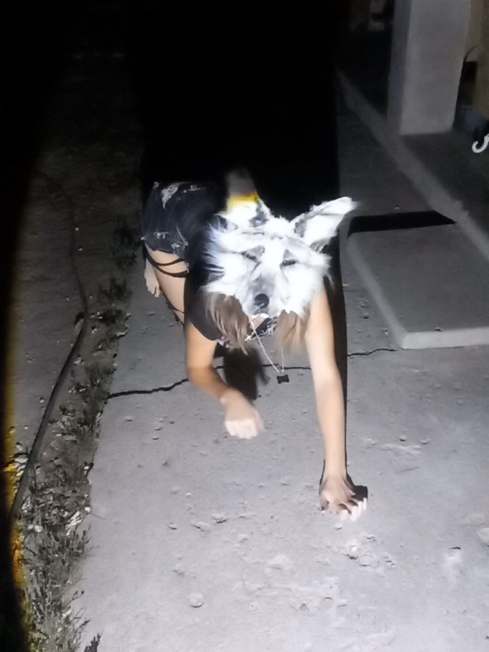 @𝑟𝑎𝑣𝑒𝑛 / 𝑗𝑎𝑥 𐂯 ˚.🍂 ༘