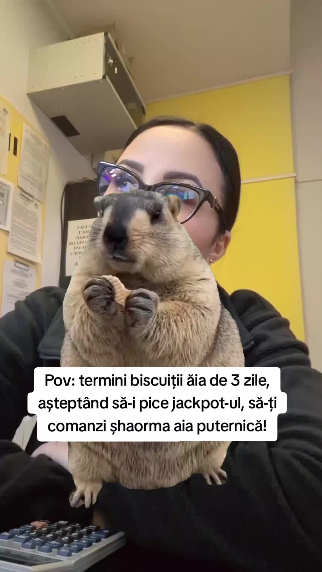 @Echipa Fortuna