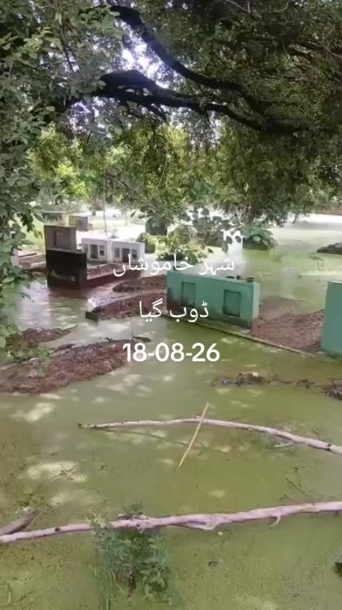 @cpc