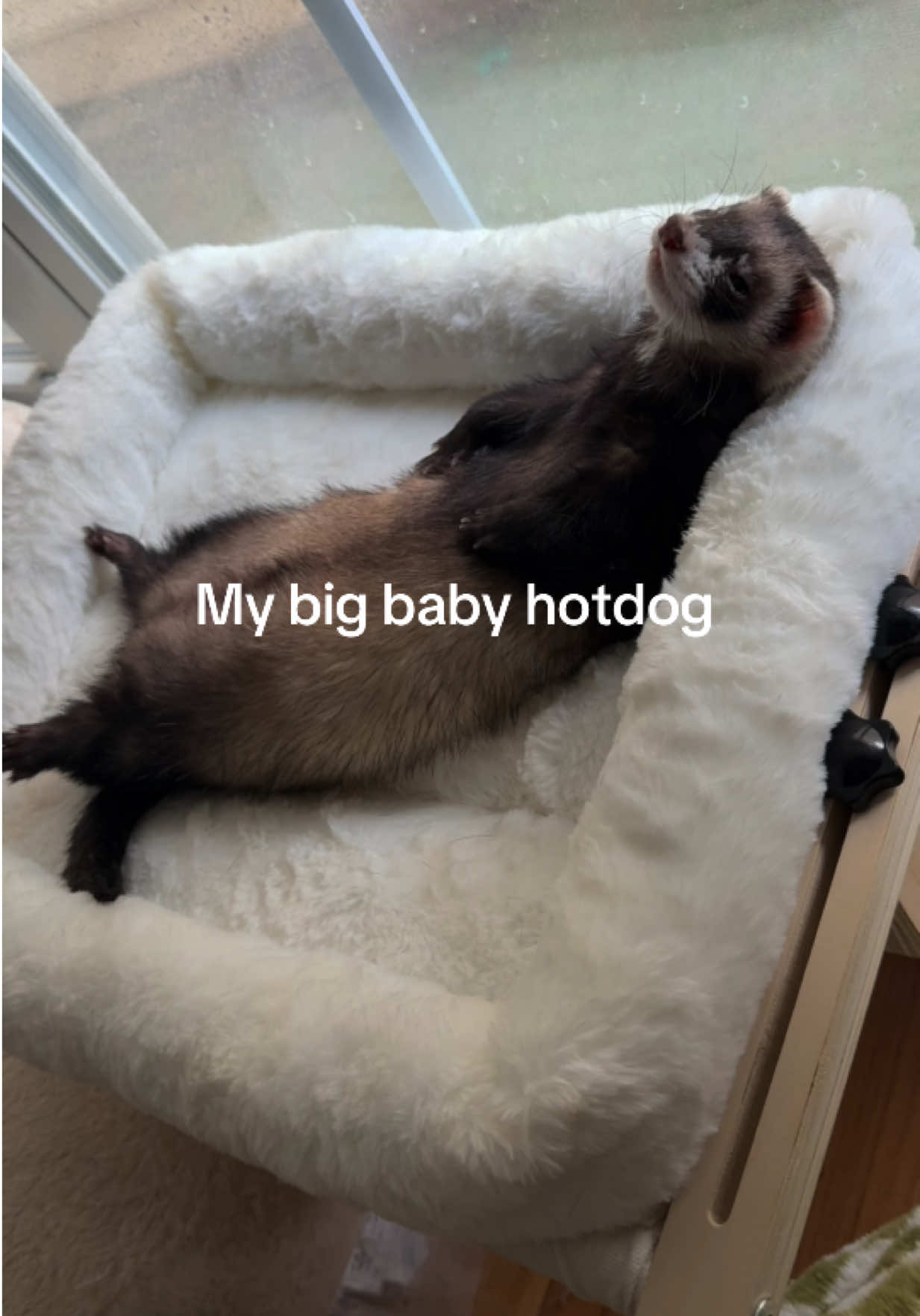 @tifffnay