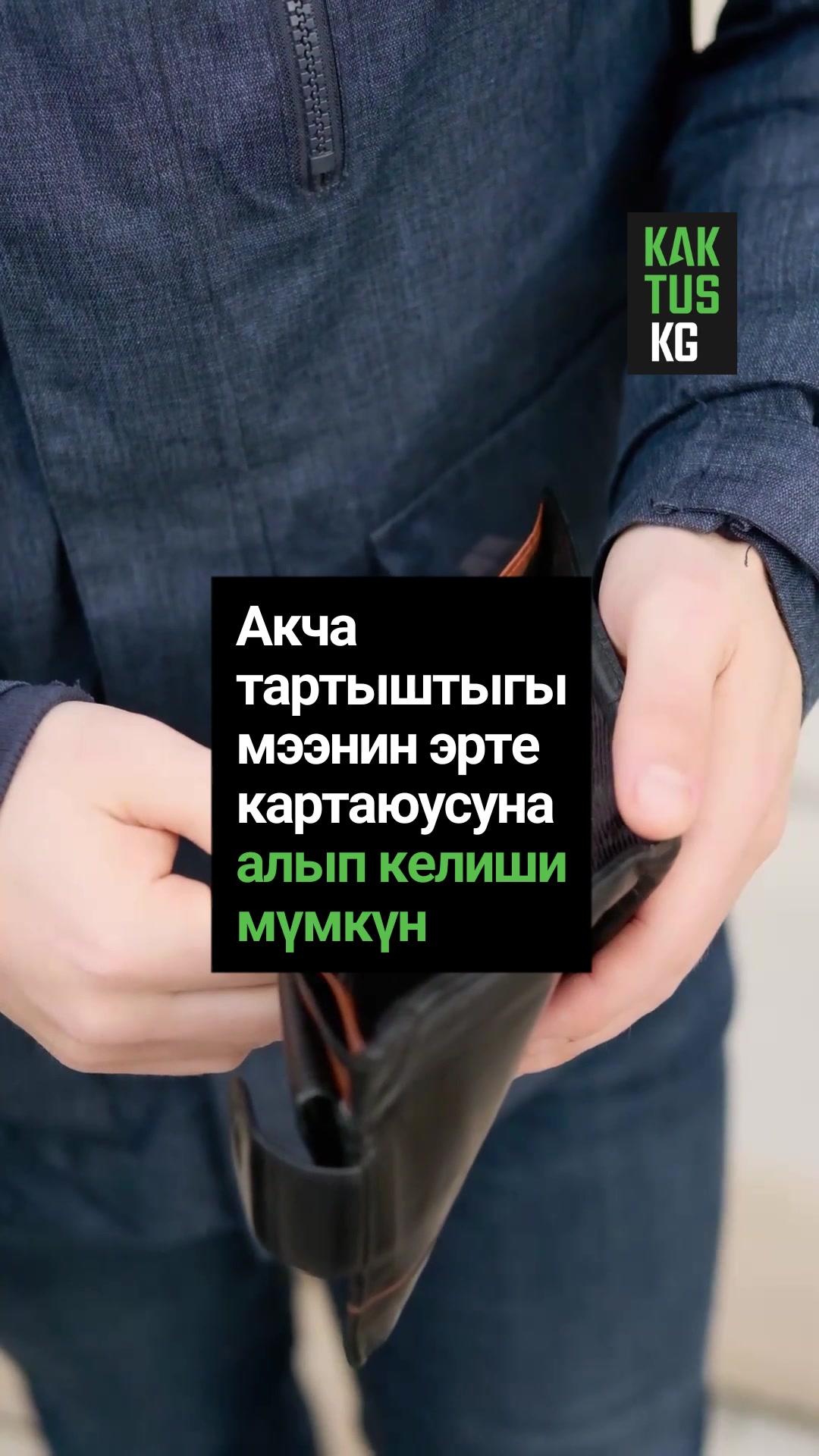 @Kaktus KG