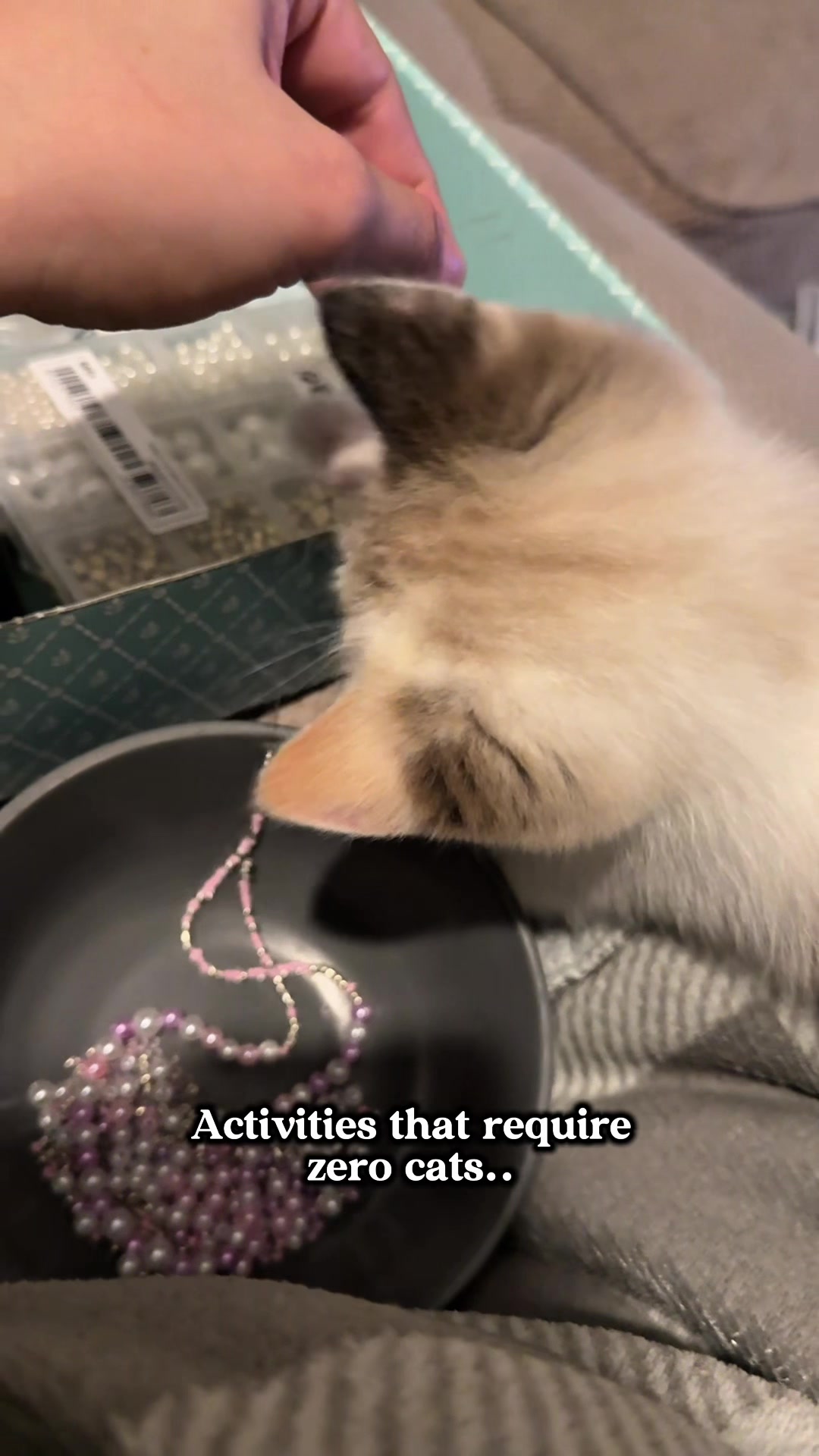@slavic_cat_mum