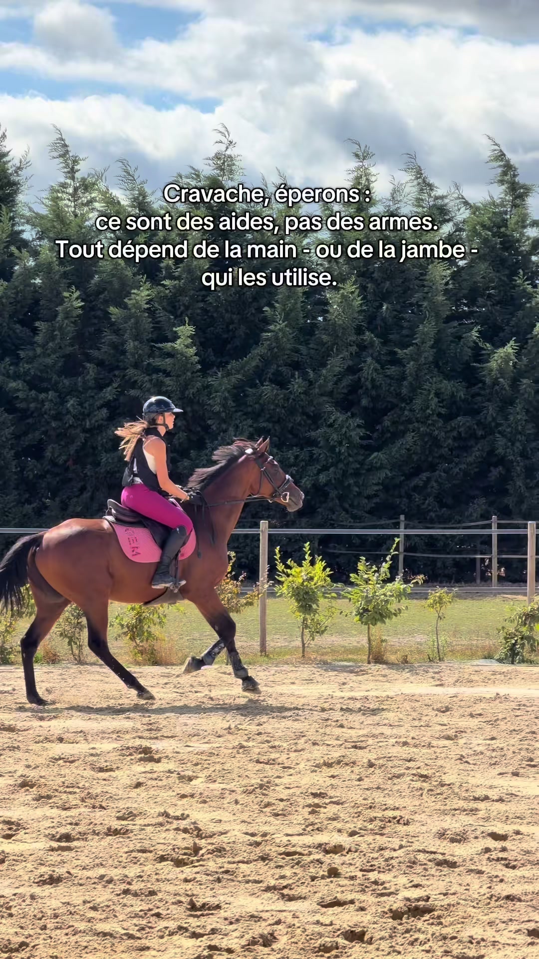@⚜️les8sabotsdejade⚜️