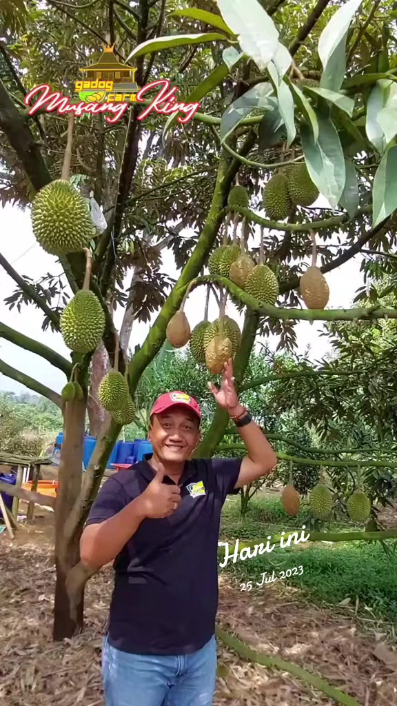 @WIN 22