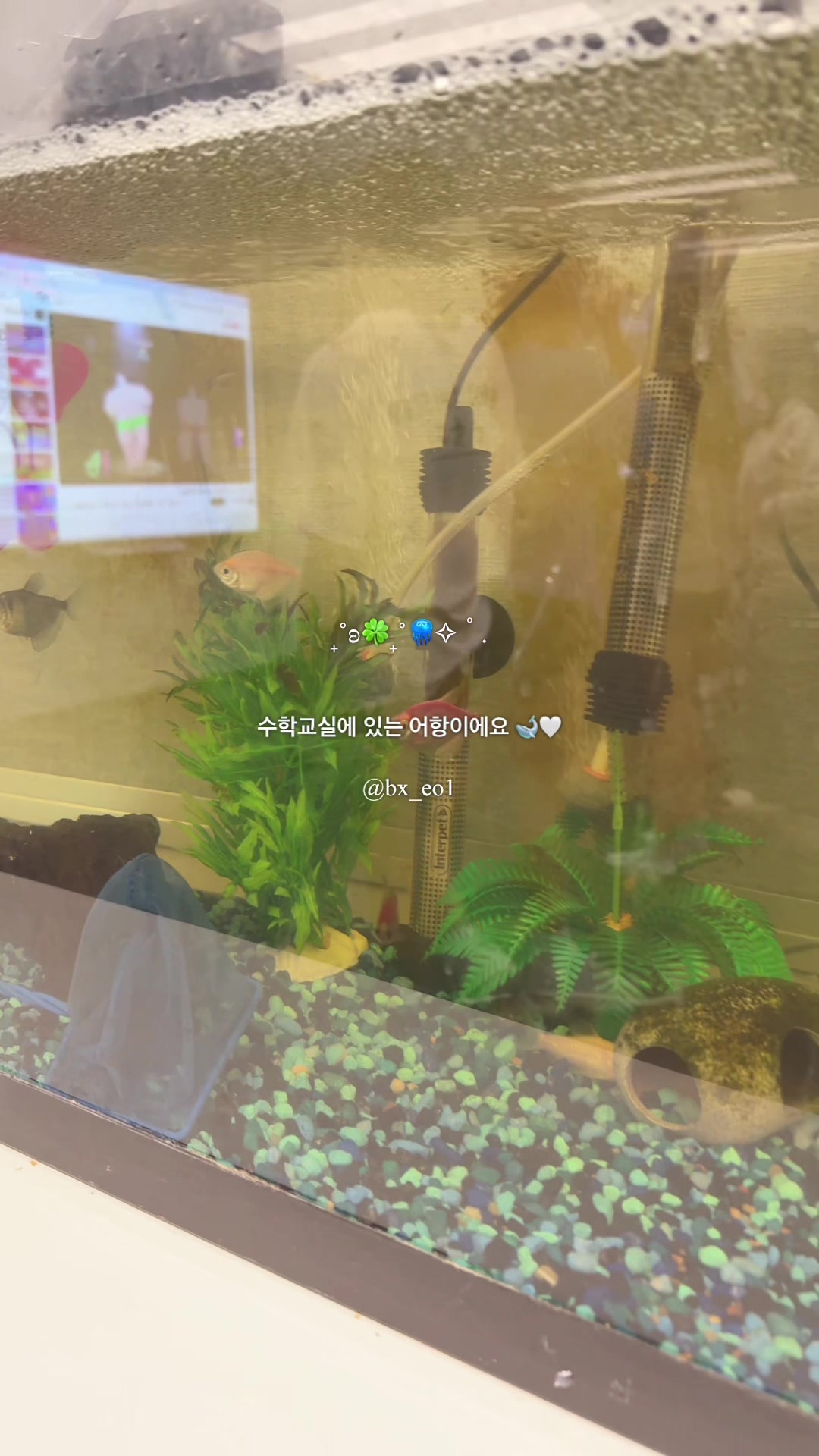 @xx.b_wol1