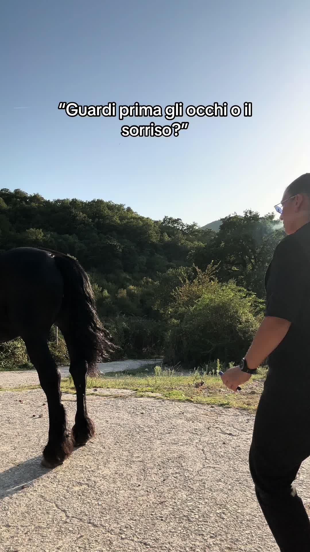 @black_the_friesian