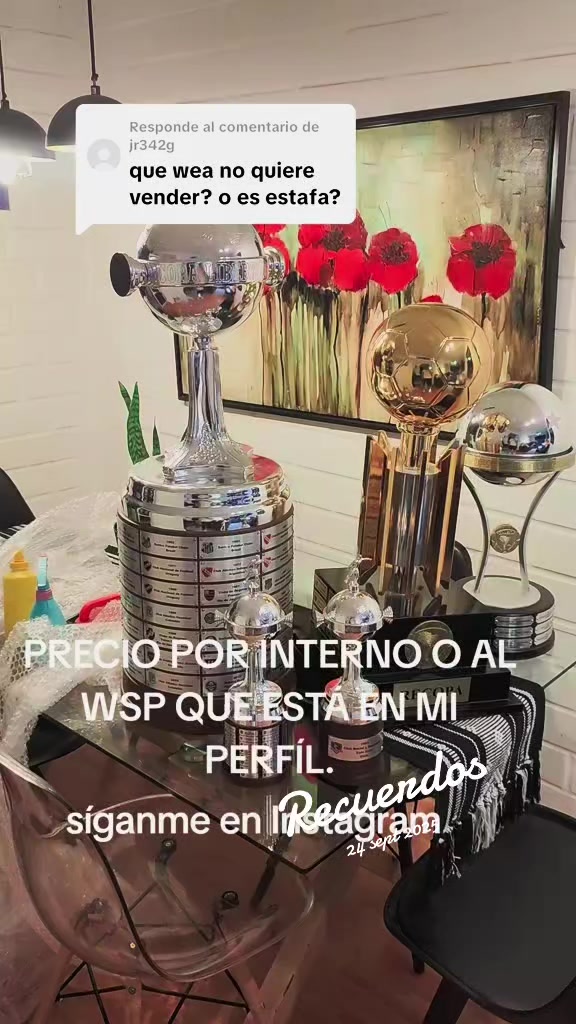 @indumentaria_colocolo_6