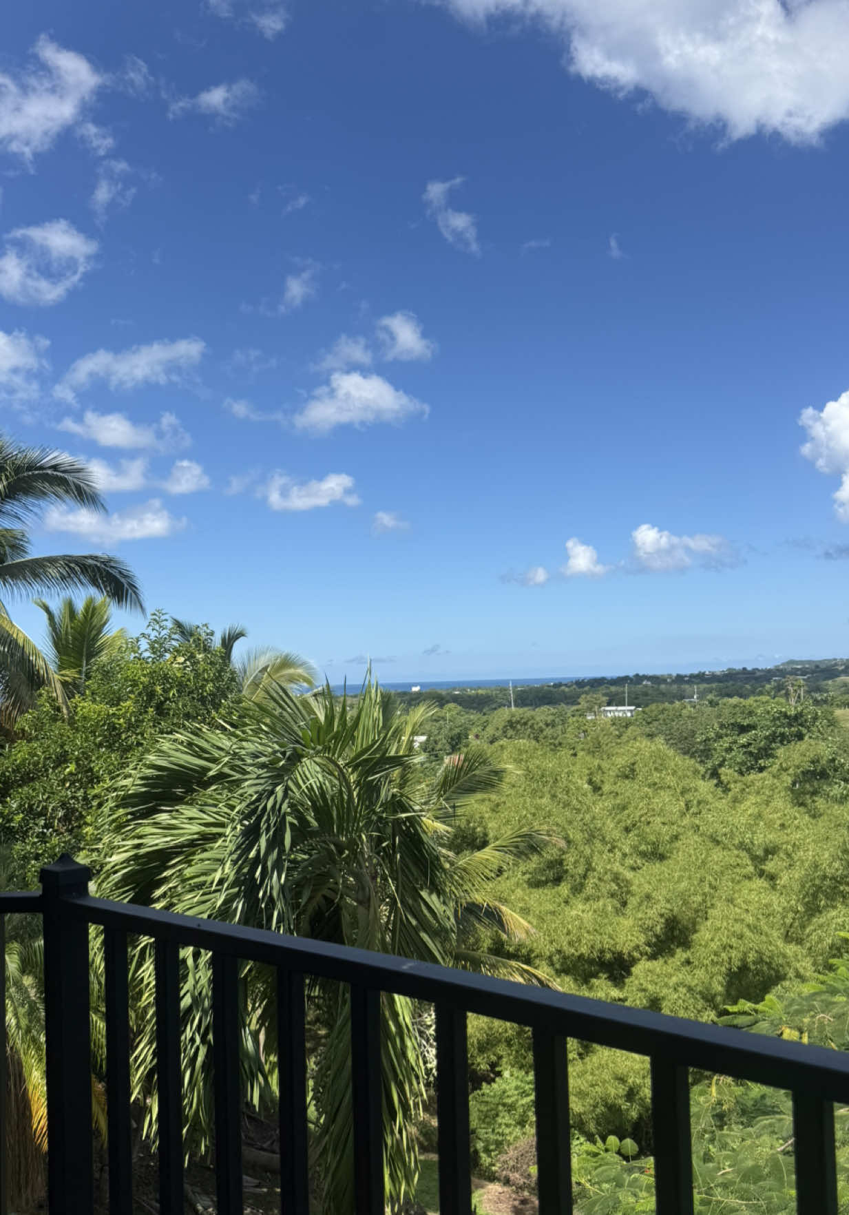 @Belton Tyrone 🇵🇷