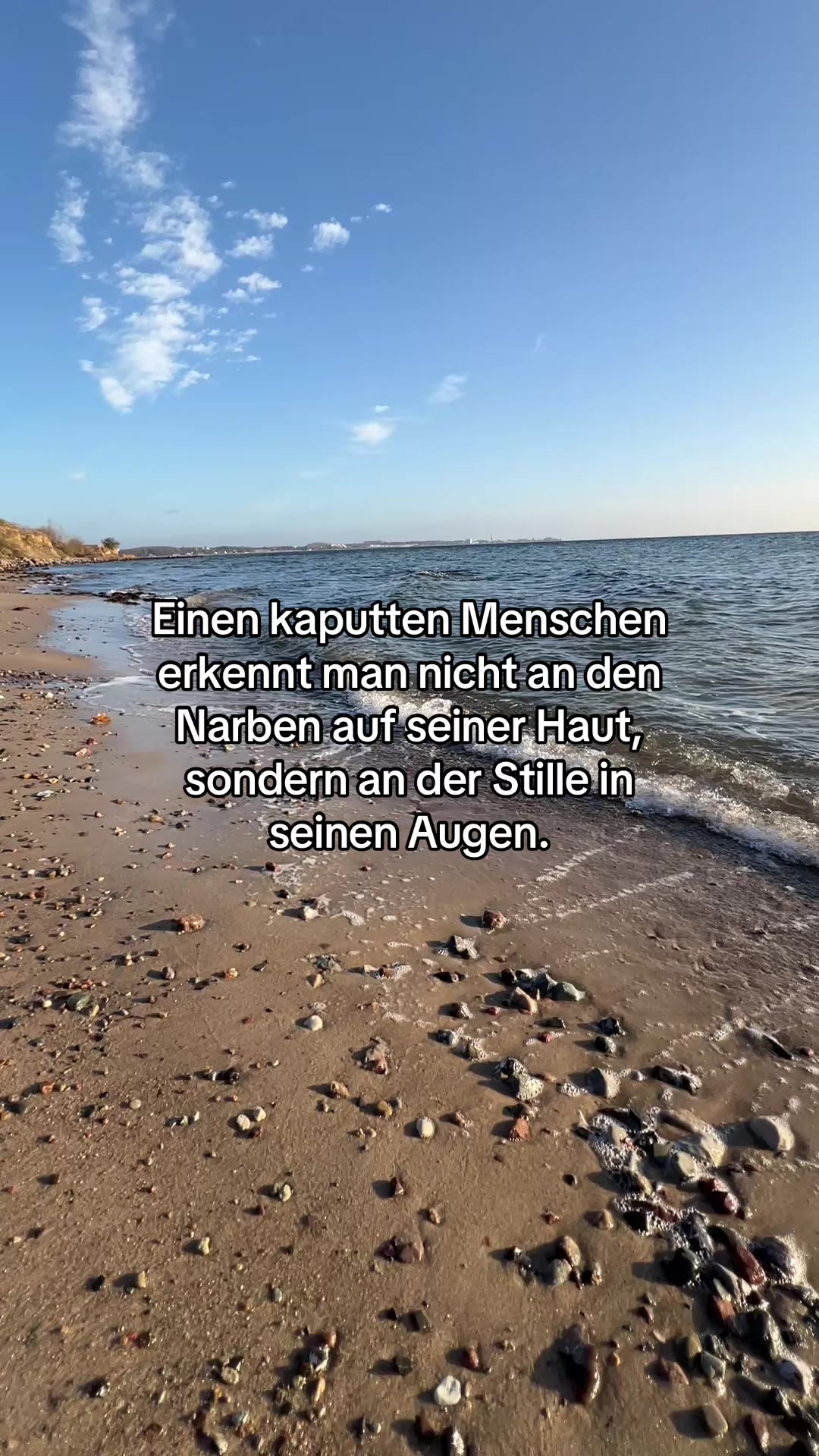 @✨Platon Gleichmann✨