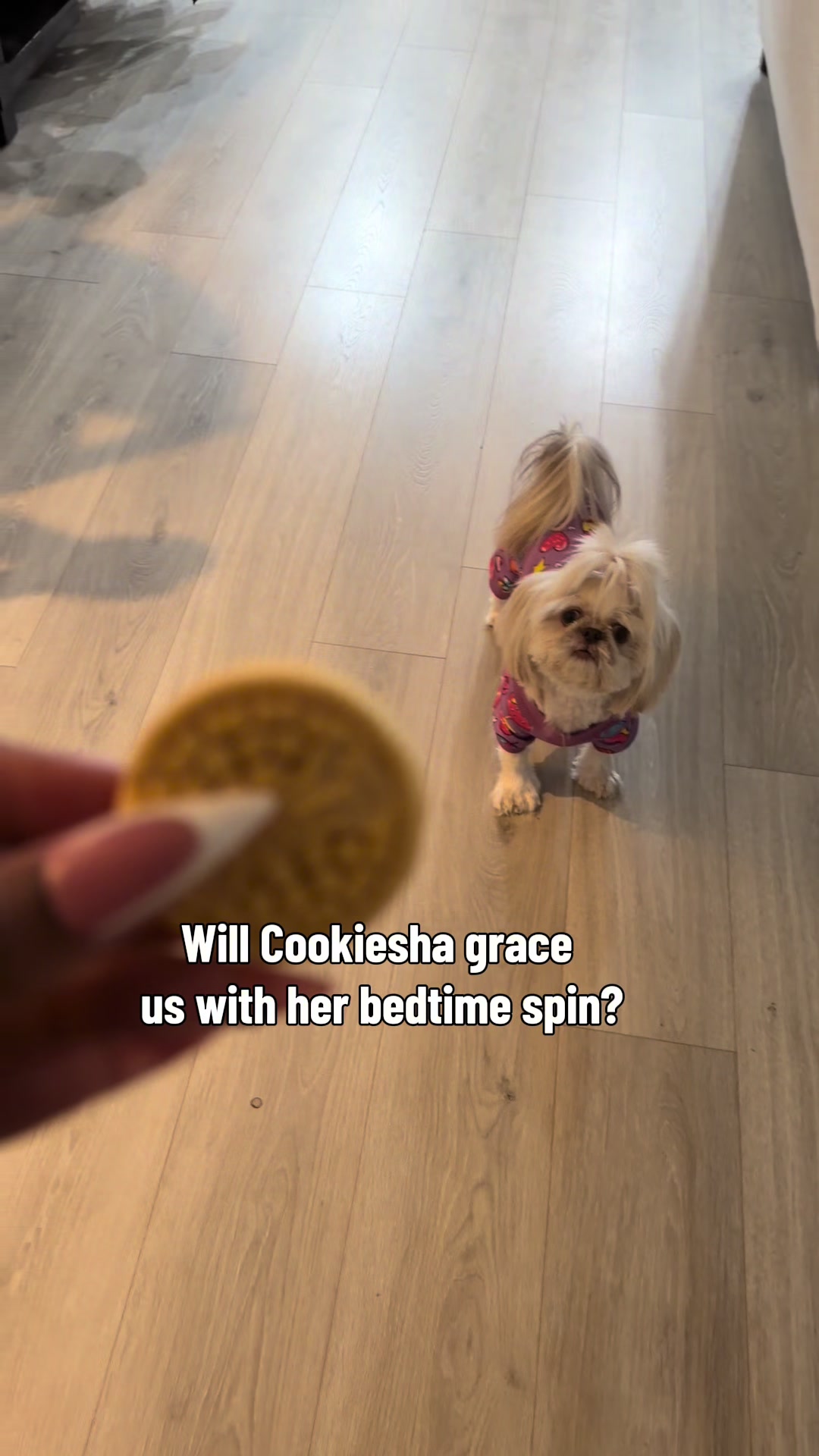 @nitaandcookiesha