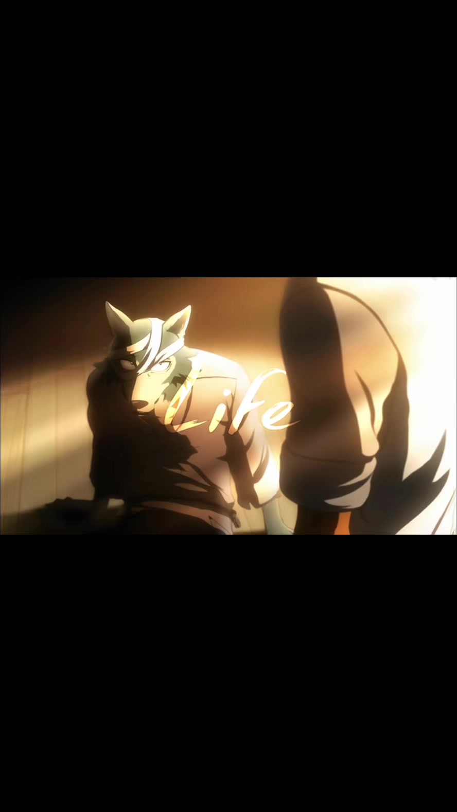 @|🐾 &bull; ( 🦴 レゴシ 🦴 ) &bull; 🐺|