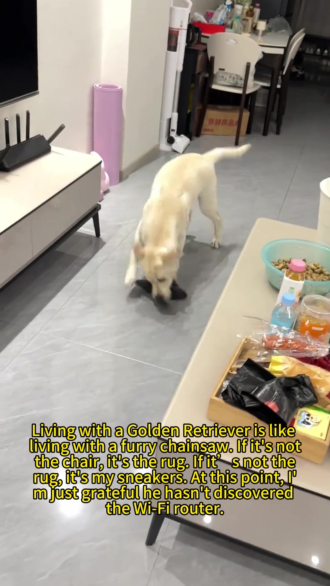 @petpro69