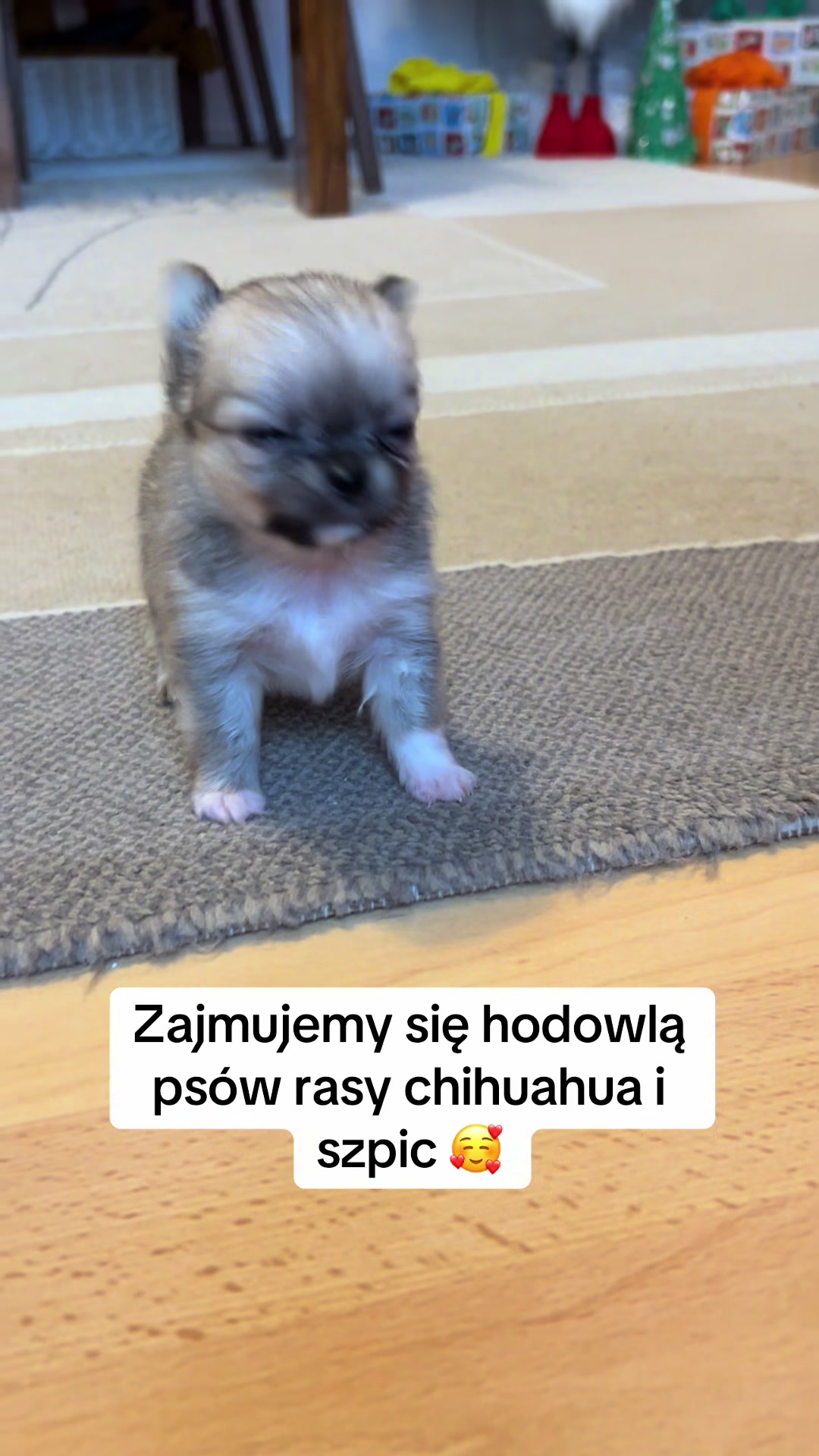 @Ulybki_lilu