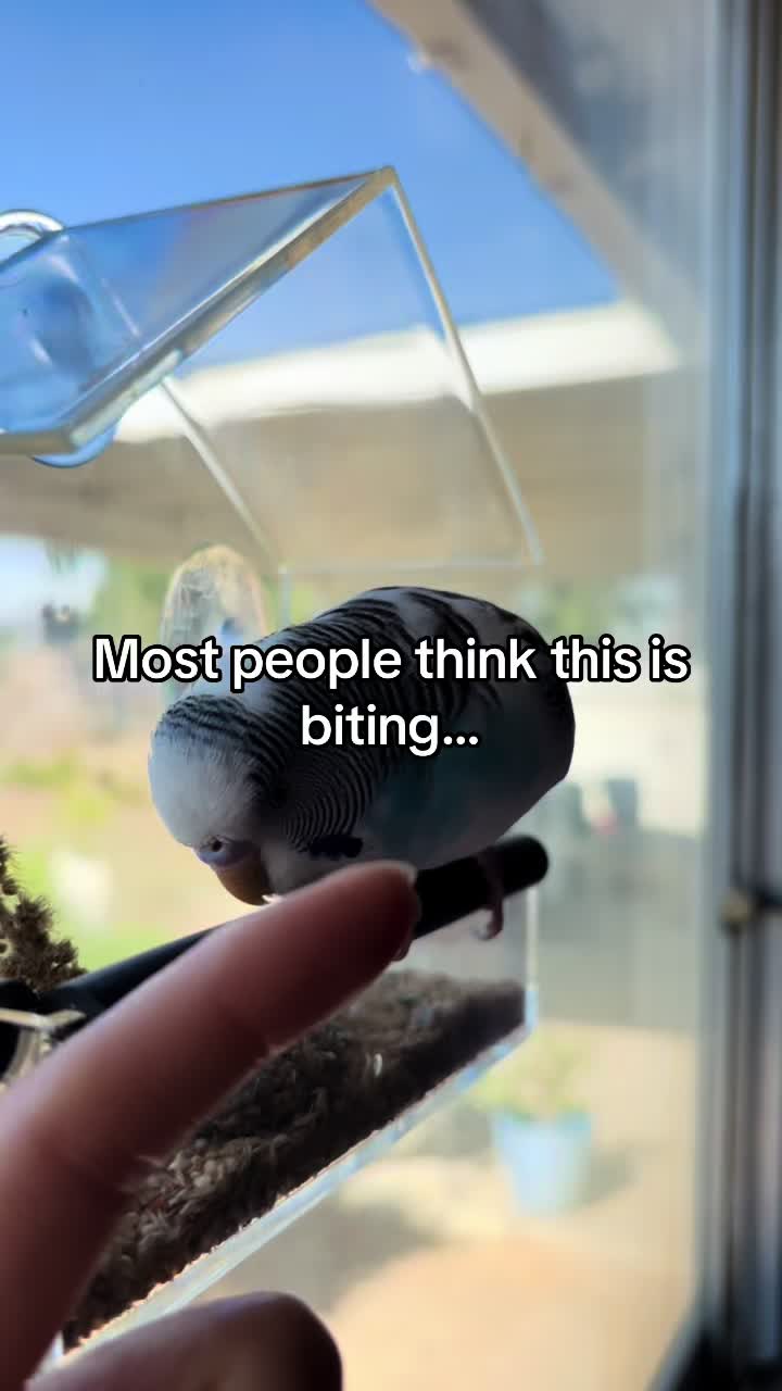 @Tiny Tweets