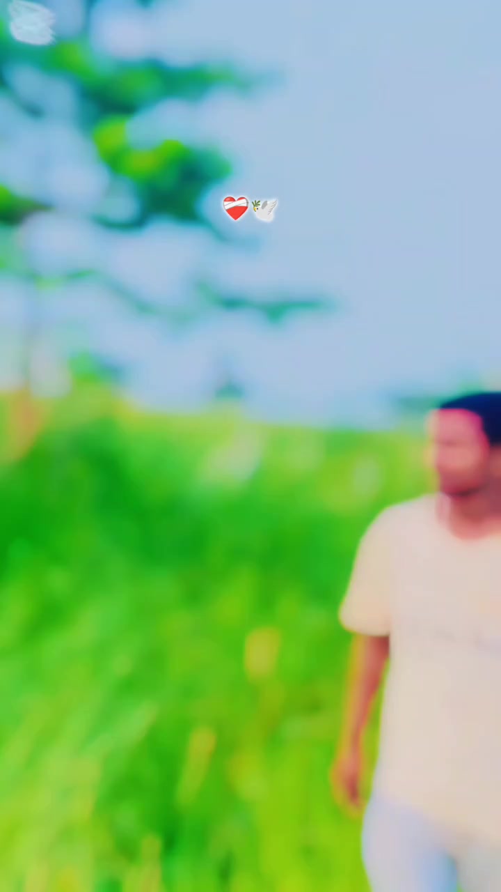 @Sumit Bibek