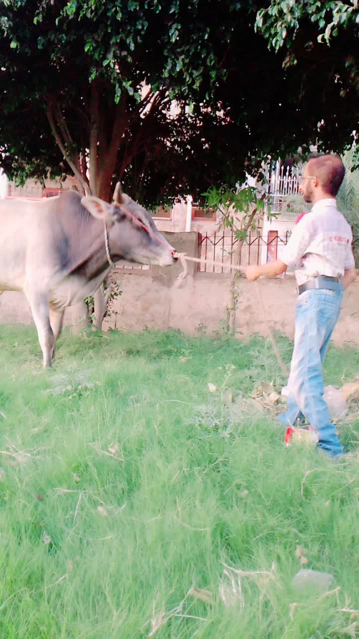 @👑Malik_🤗Umair💝_Awan🔥