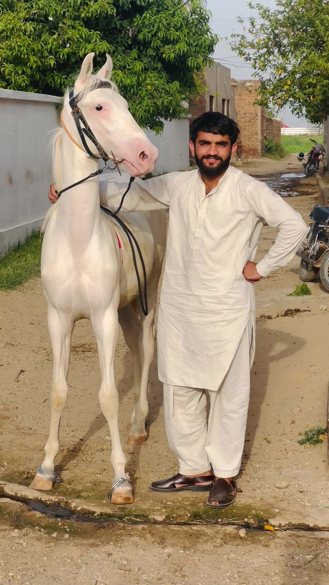 @Ch Hammad bokan ♥️🐎