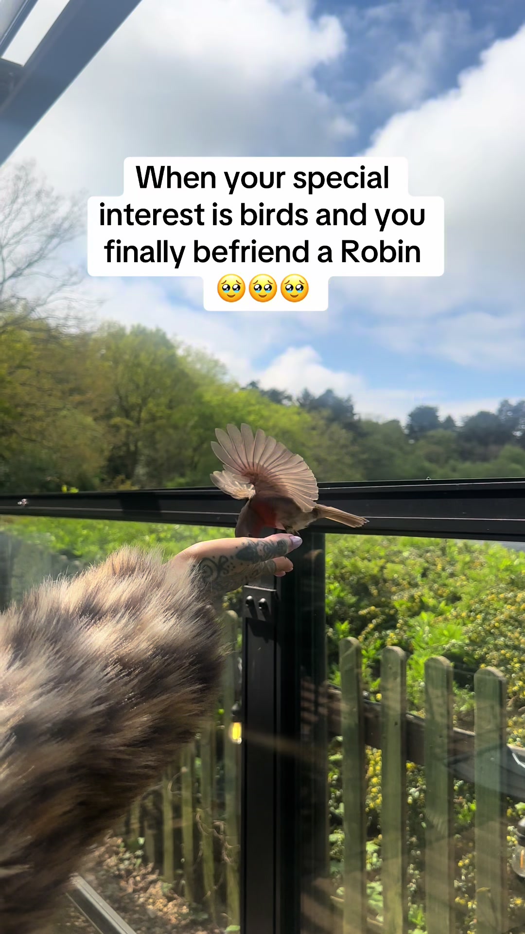 @Hattie