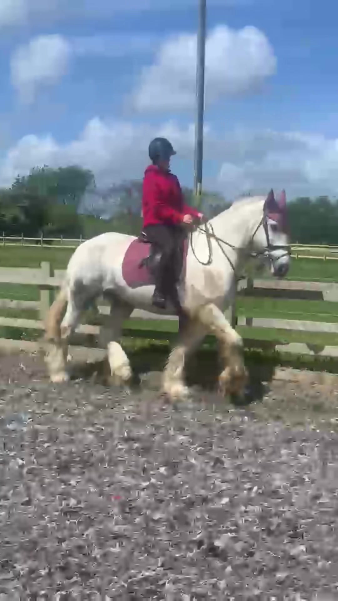 @horse