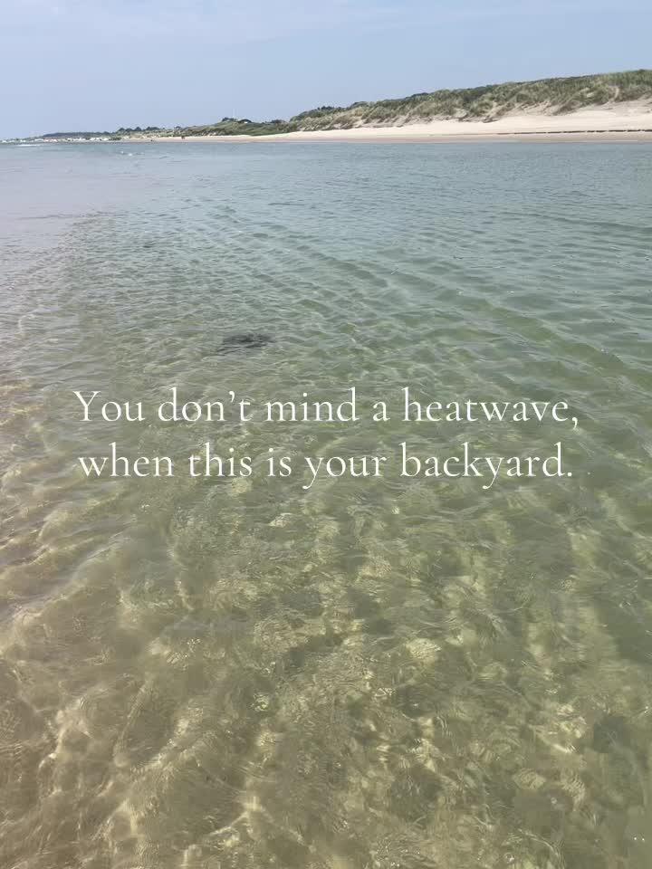 @Wempress 🇵🇸🇩🇰