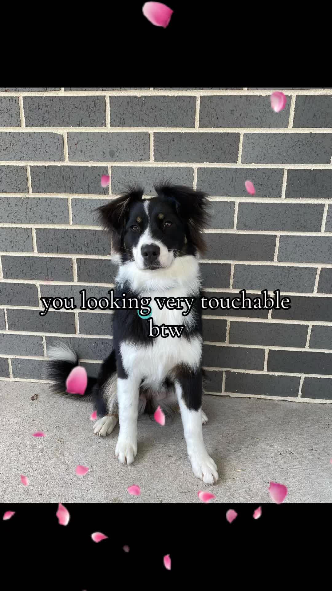 @realestsz0