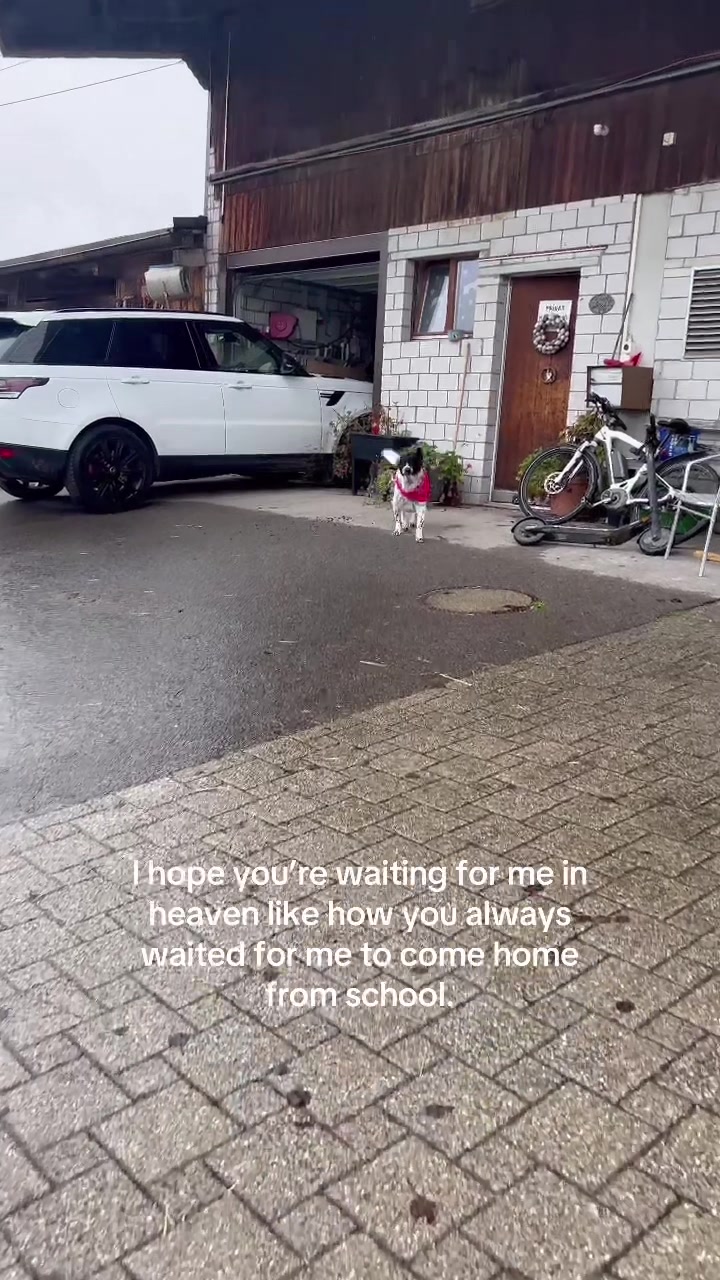 @𝒂𝒓𝒊