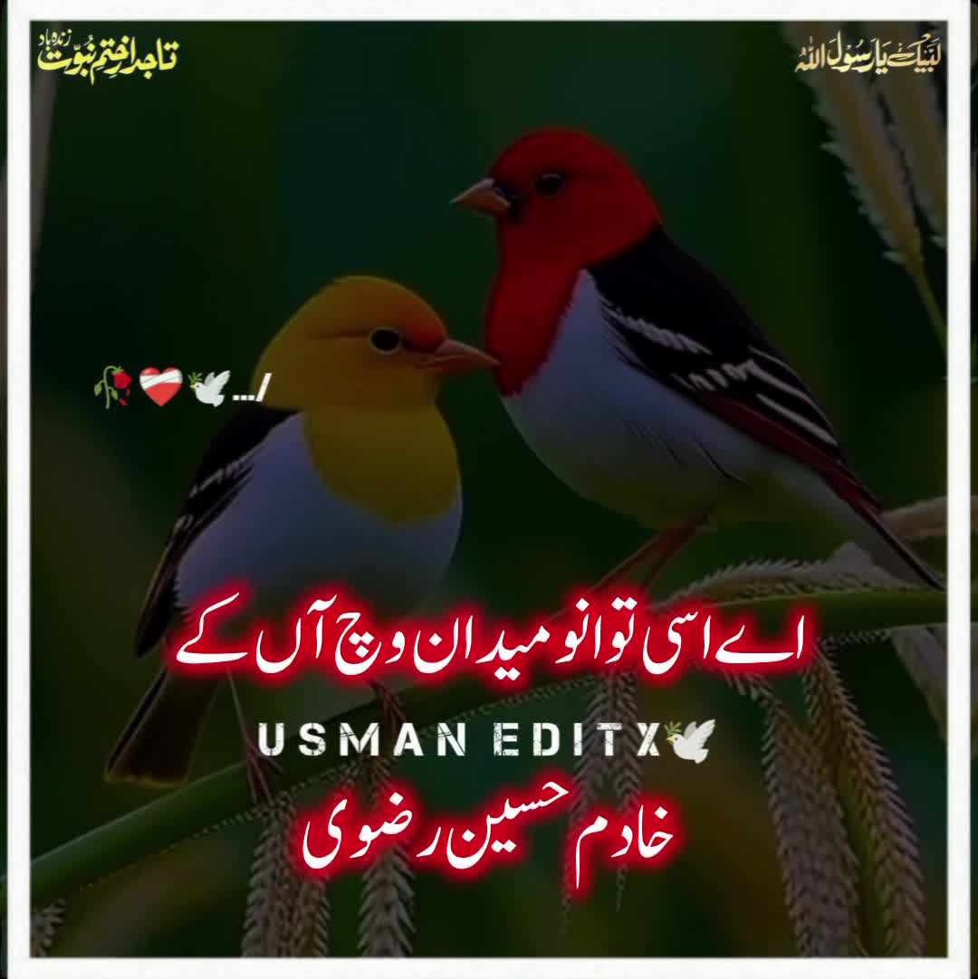 @سلطنت رضویہ 😍😍