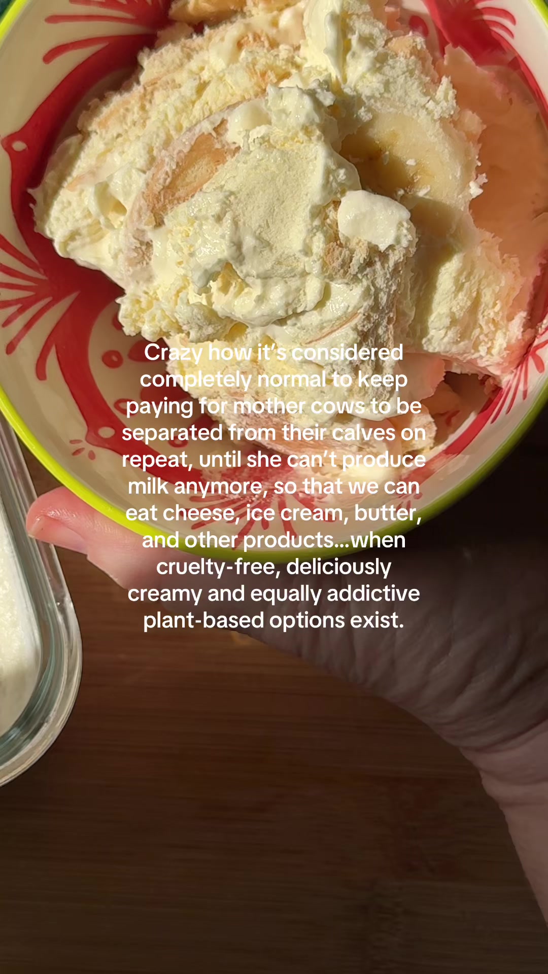 @VegKit