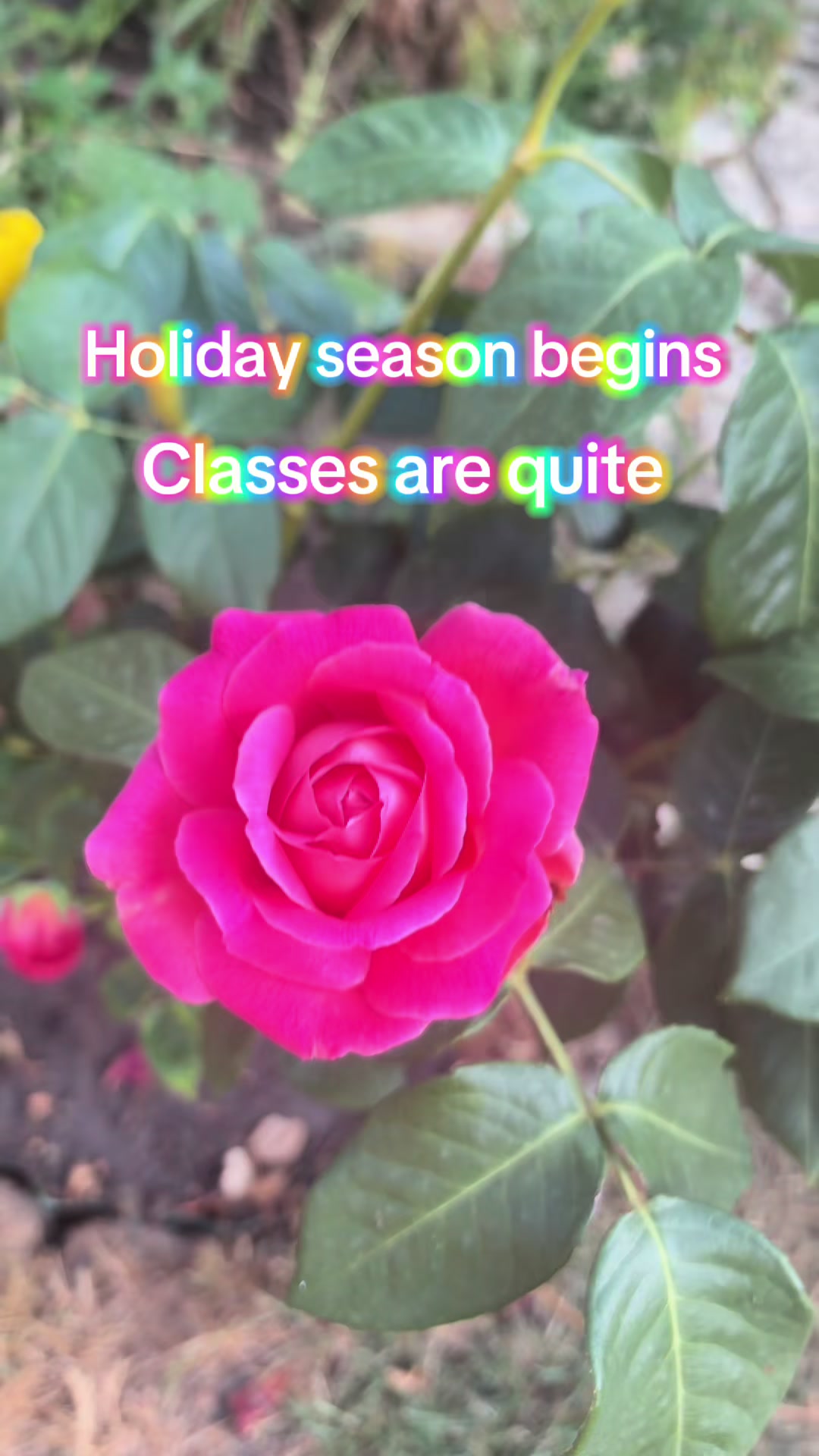 @fireflyyoga