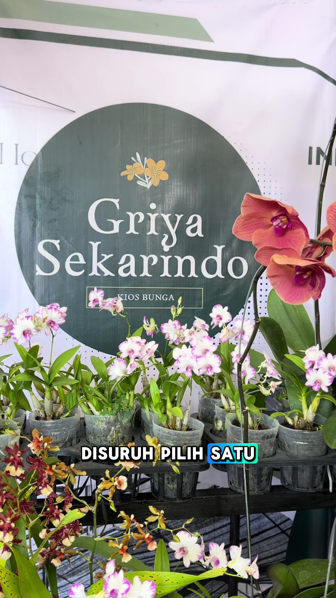 @Griya sekarindo utama