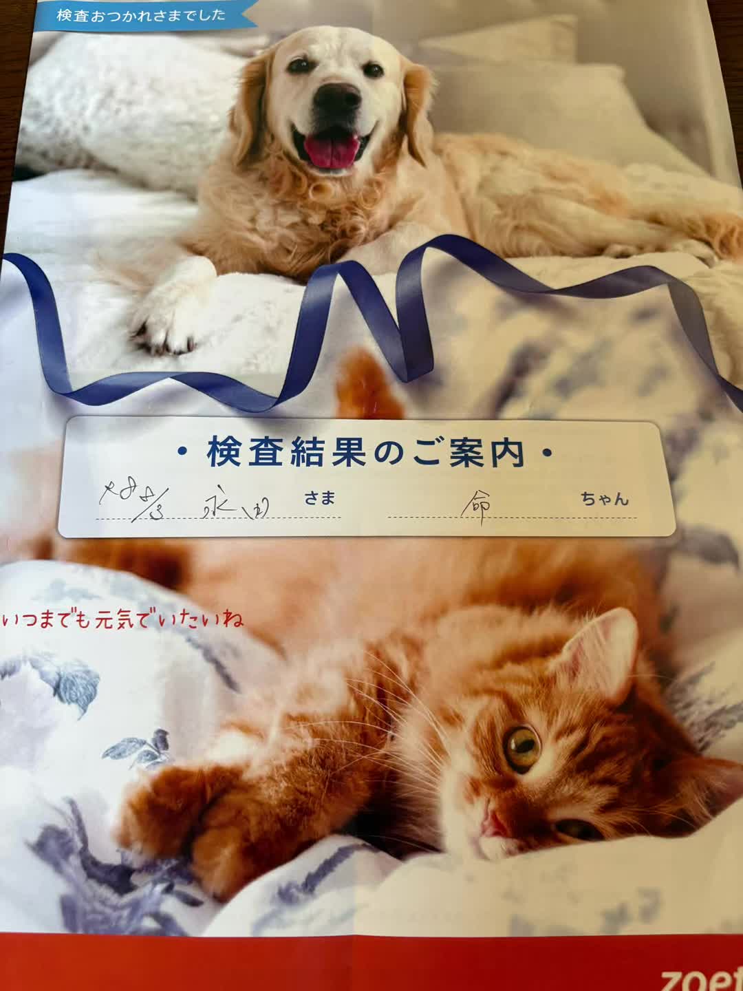 @ブルースカイの倫
