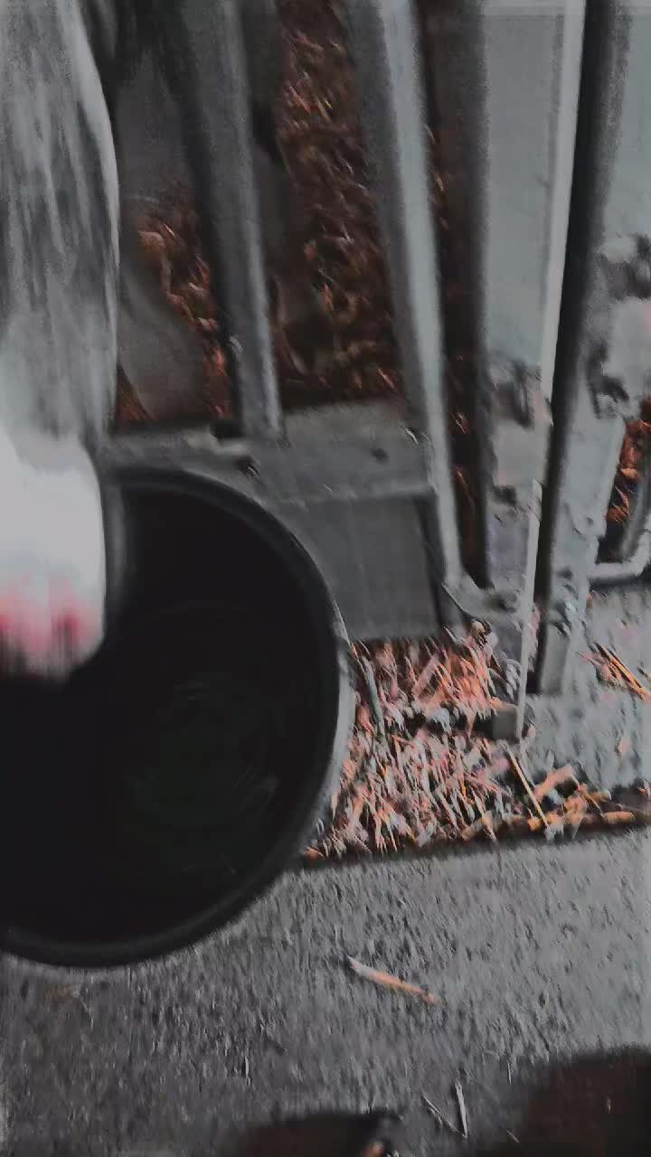 @holzbuby🌲🦺🪓