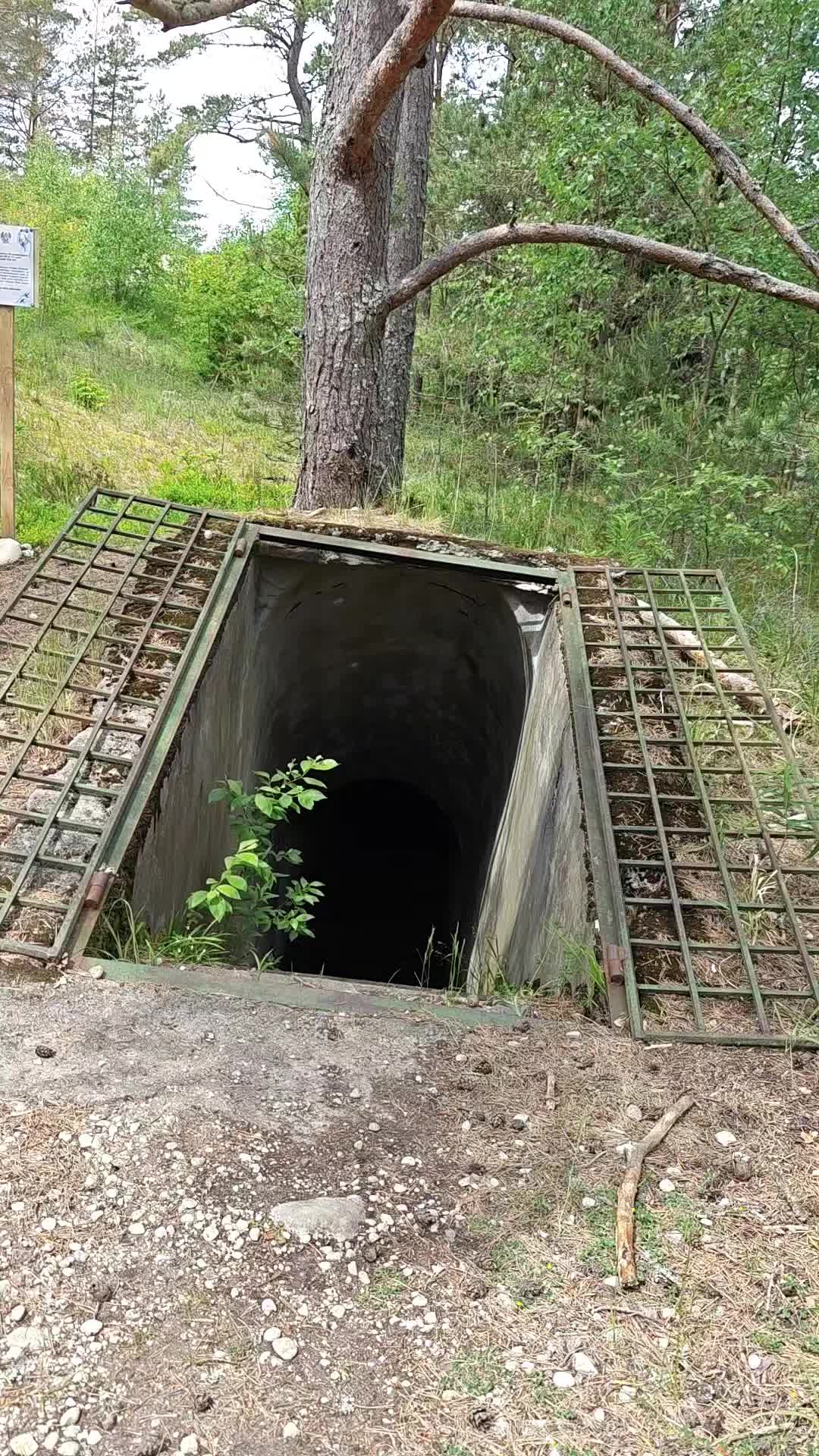 @Riga Chernobyl Team