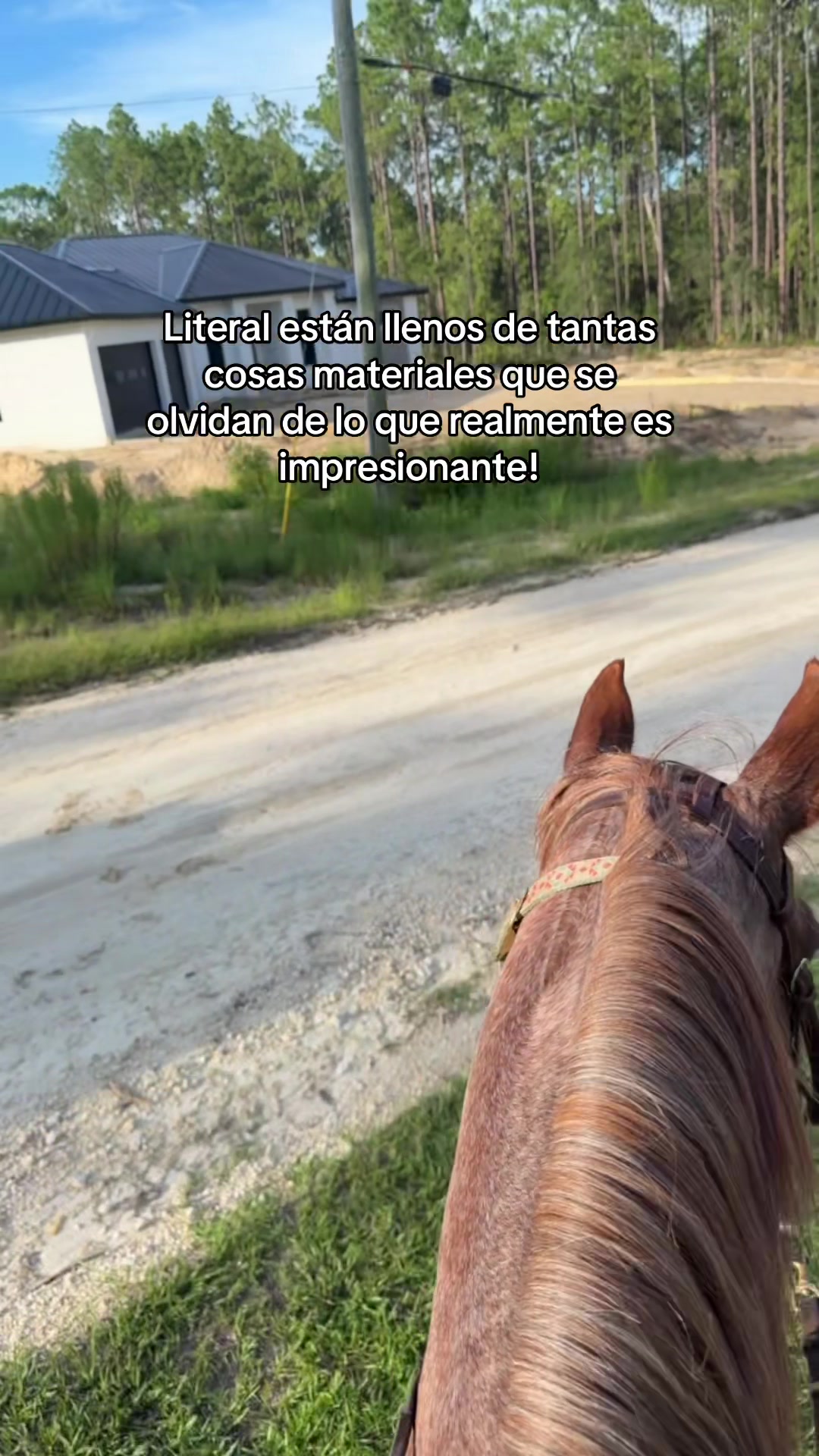 @Gladita 🏡🔑🐎