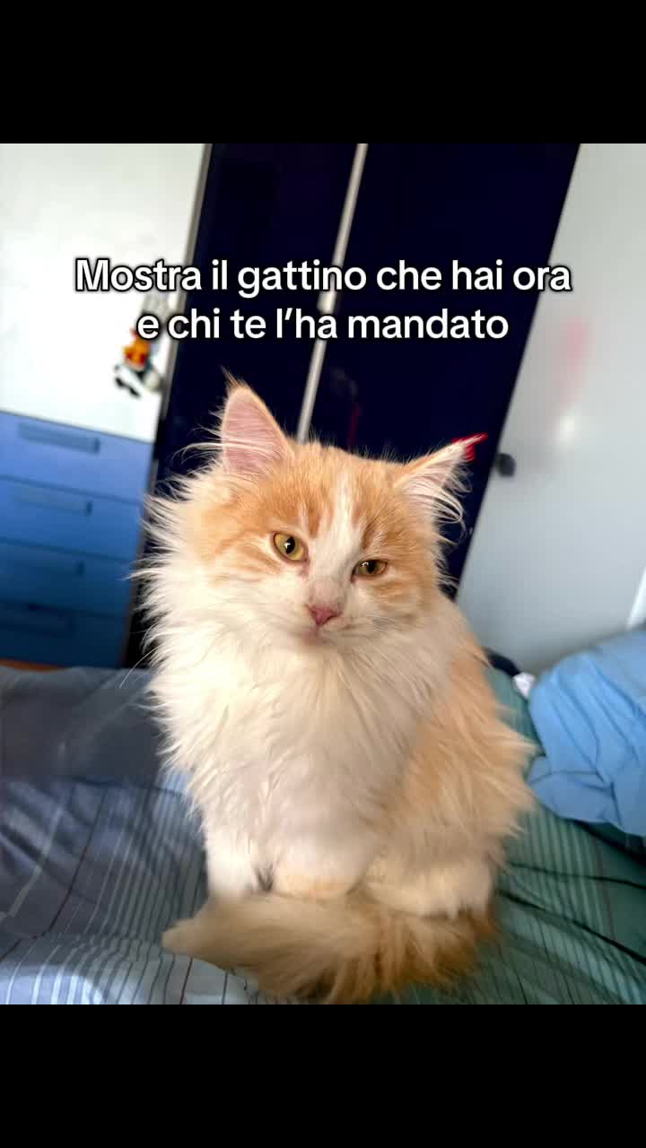 @Serena Balsamo